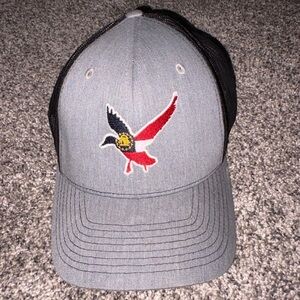 Dixie Fowl Company LLC Georgia Mallard
Adjustable Cap / Hat